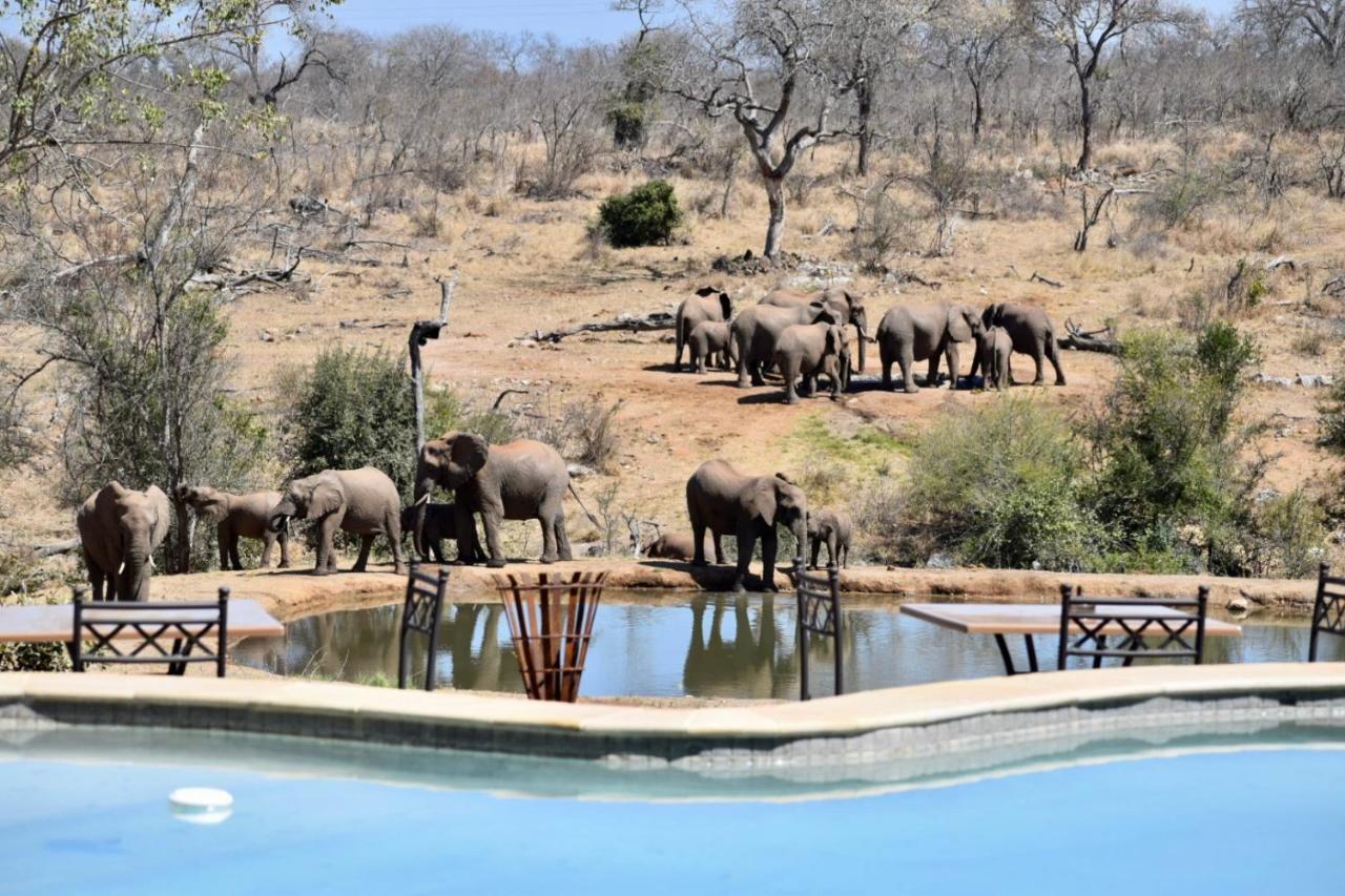Milima Big 5 Safari Lodge Hoedspruit Kültér fotó