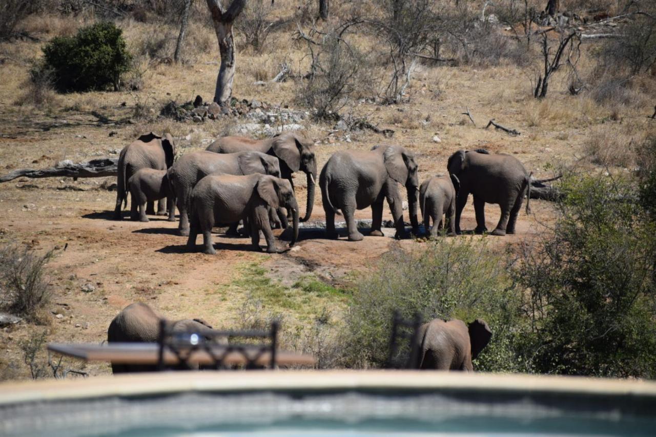 Milima Big 5 Safari Lodge Hoedspruit Kültér fotó