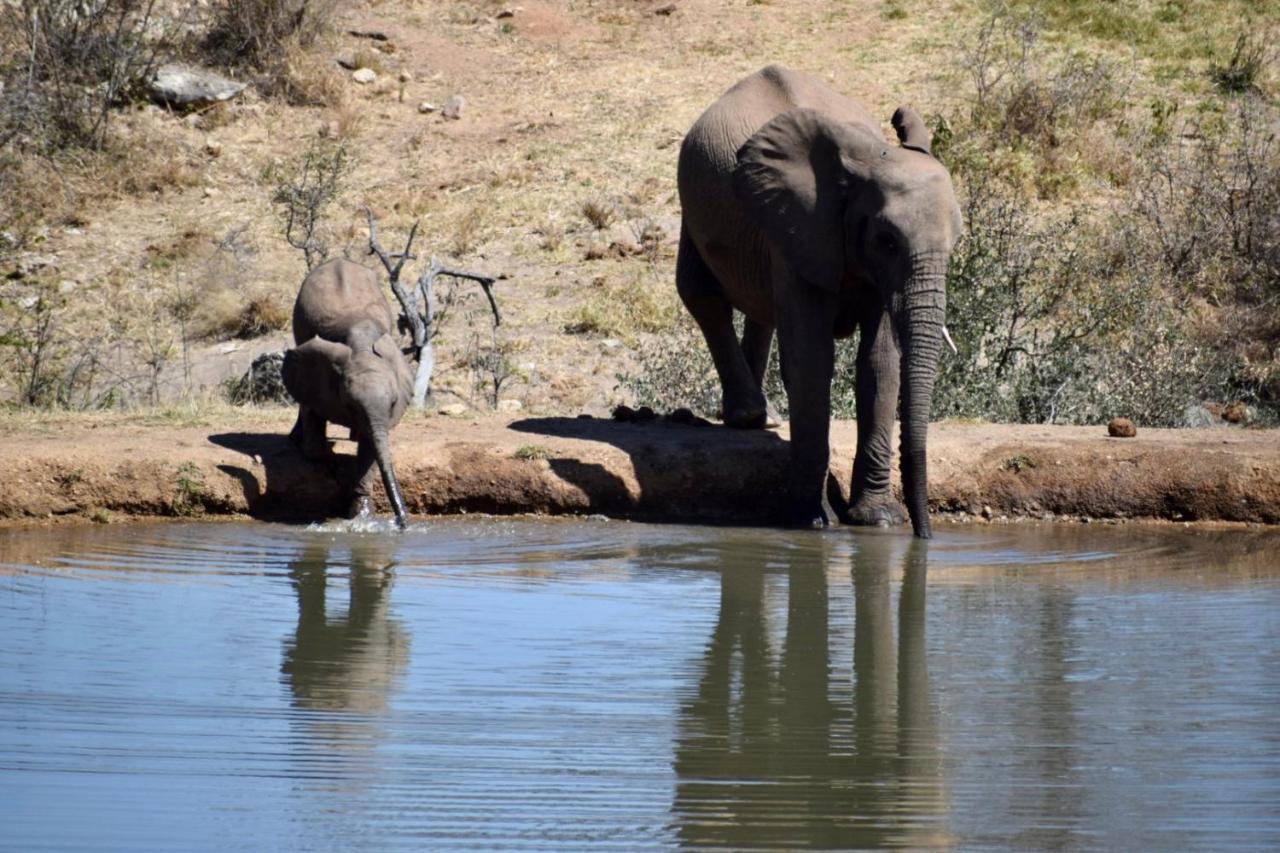 Milima Big 5 Safari Lodge Hoedspruit Kültér fotó