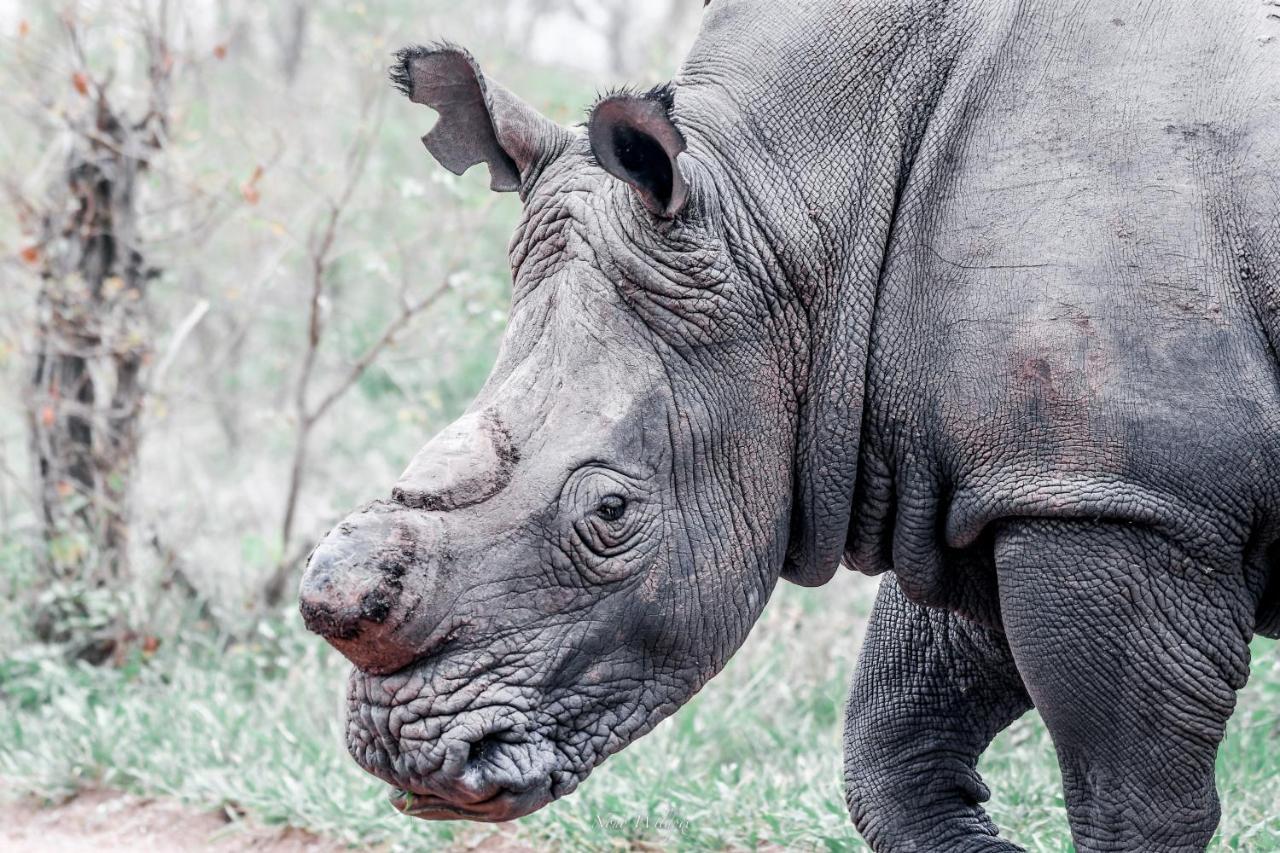 Milima Big 5 Safari Lodge Hoedspruit Kültér fotó