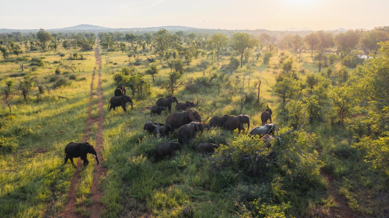 Milima Big 5 Safari Lodge Hoedspruit Kültér fotó